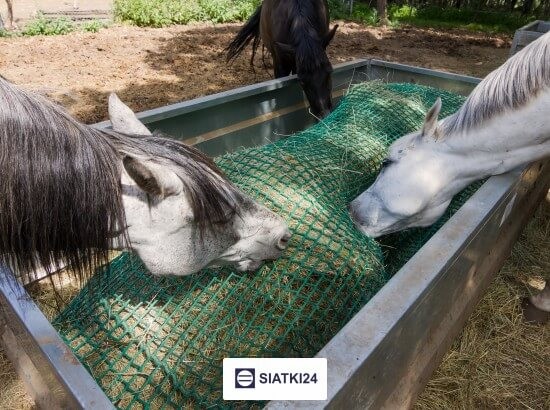 Siatki na siano dla koni