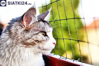 Siatki Legionowo - Siatka na balkony dla kota i zabezpieczenie dzieci dla terenów Legionowa