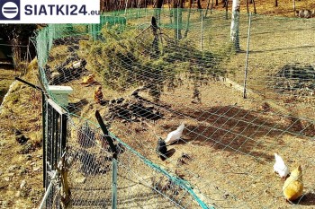 Siatki Legionowo - Siatka na woliery - zabezpieczenia ptaków w hodowli dla terenów Legionowa